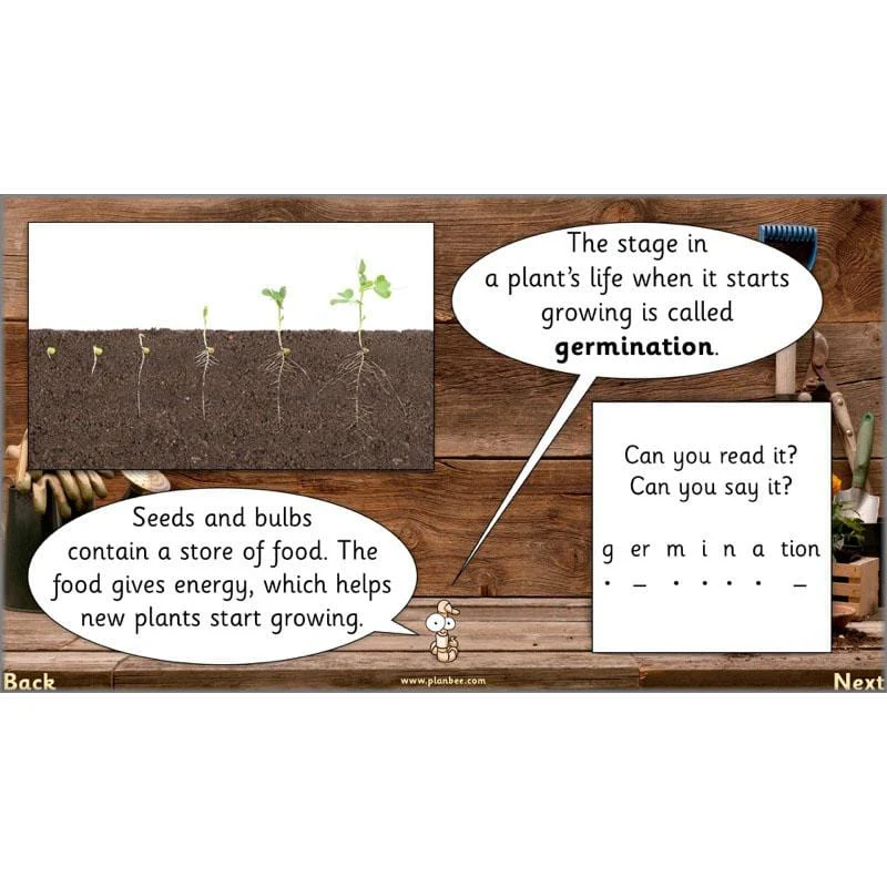 The Secret World of Plants - Image 33