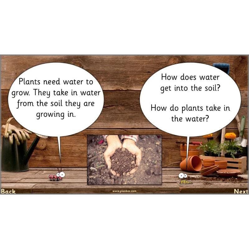 The Secret World of Plants - Image 34
