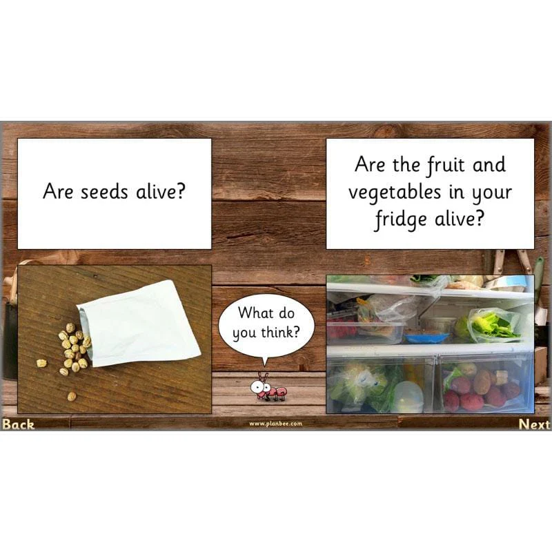 The Secret World of Plants - Image 41