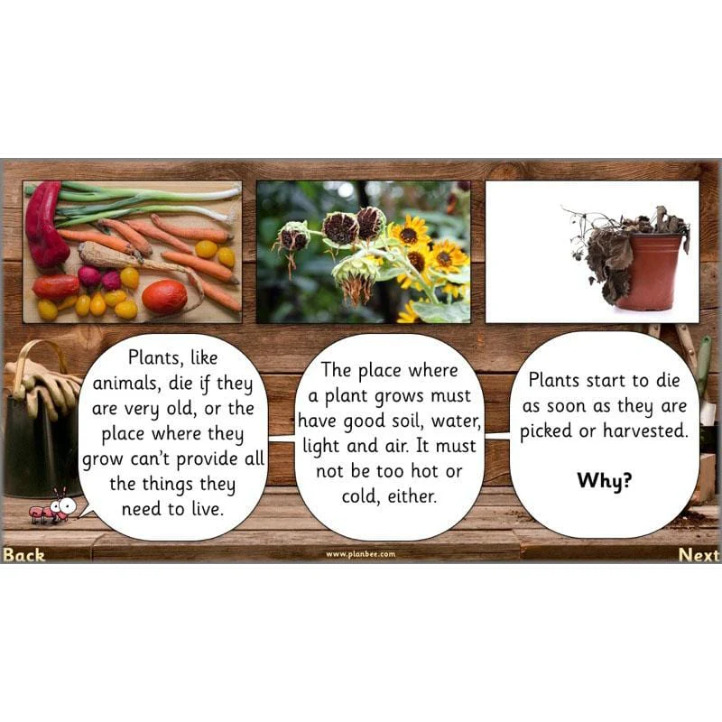The Secret World of Plants - Image 43