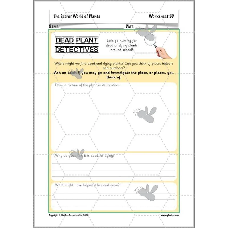 The Secret World of Plants - Image 47