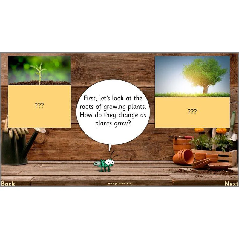 The Secret World of Plants - Image 49