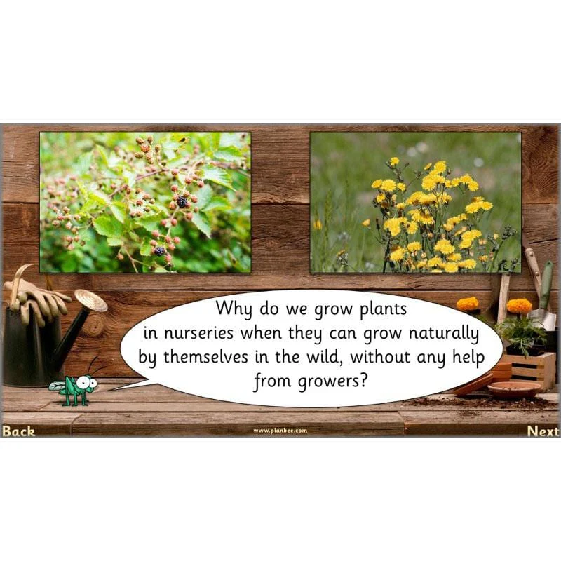 The Secret World of Plants - Image 5