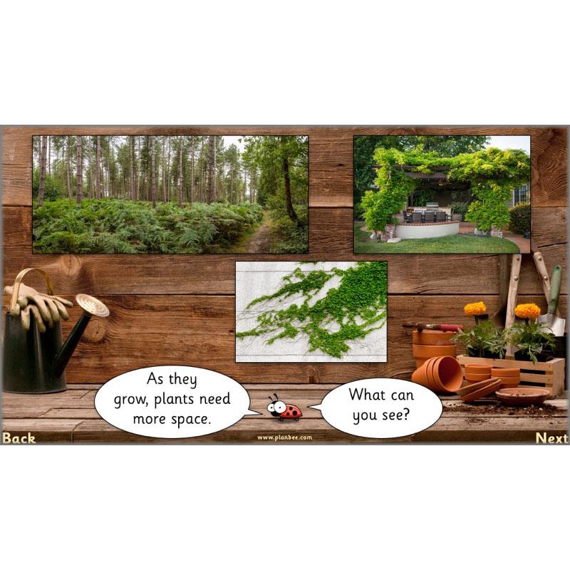 The Secret World of Plants - Image 50