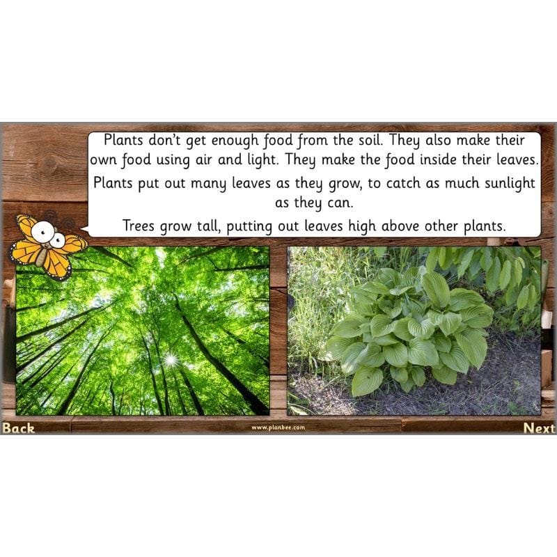 The Secret World of Plants - Image 51