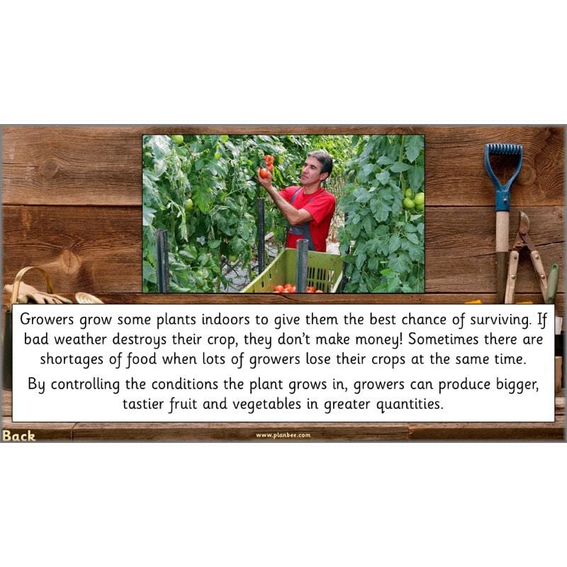 The Secret World of Plants - Image 52