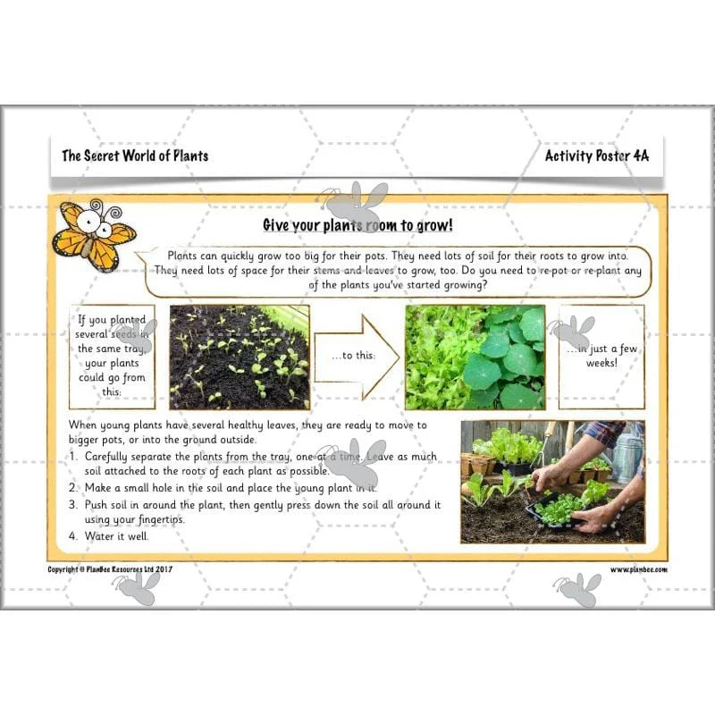 The Secret World of Plants - Image 53