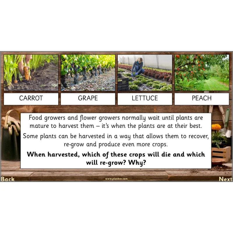 The Secret World of Plants - Image 59