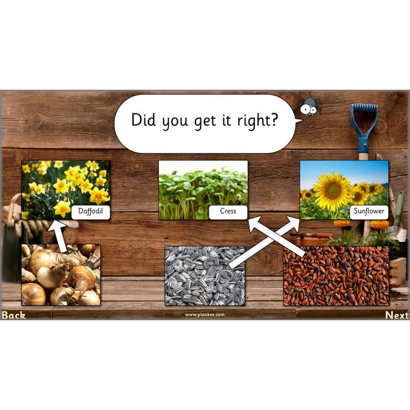 The Secret World of Plants - Image 6