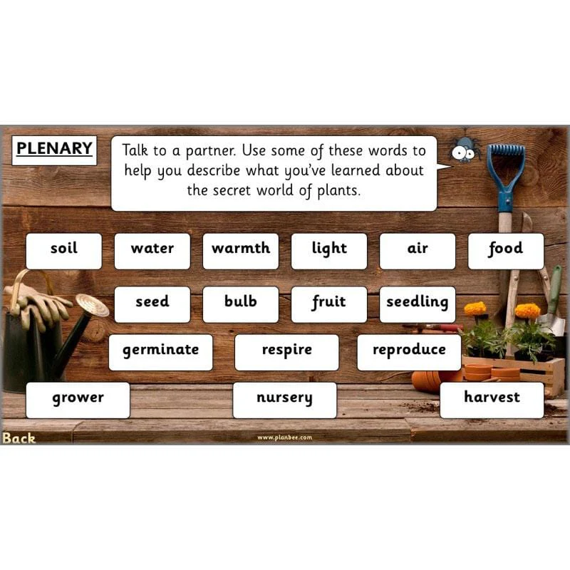 The Secret World of Plants - Image 60