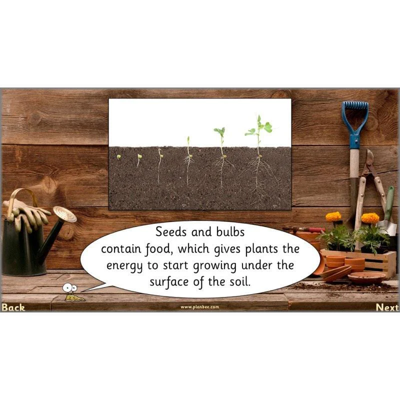 The Secret World of Plants - Image 7