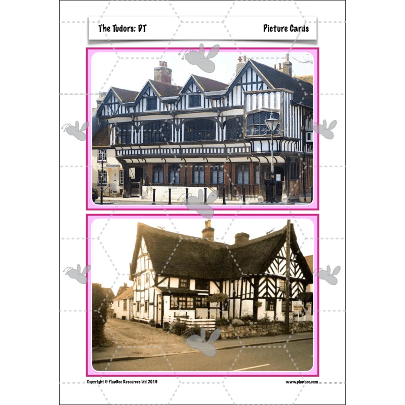 The Tudors Topic Enrichment Pack - Image 47