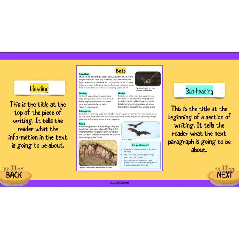 The Twits: Non-chronological Reports - Image 18