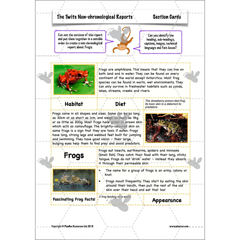 The Twits: Non-chronological Reports - Image 21