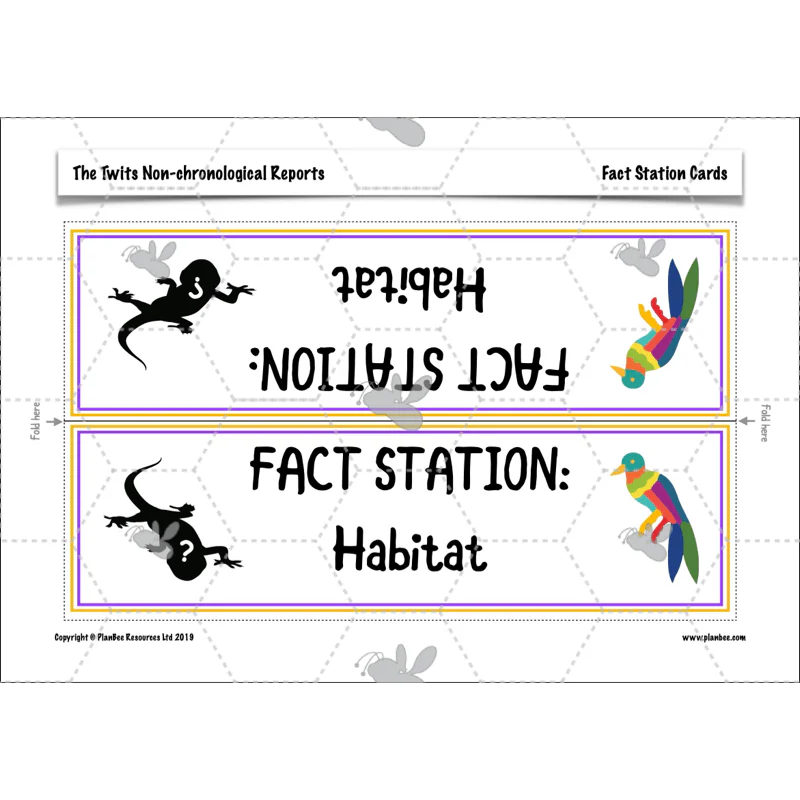 The Twits: Non-chronological Reports - Image 37
