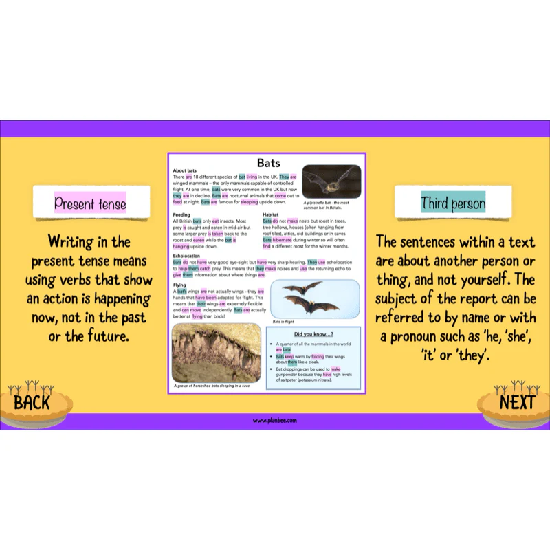 The Twits: Non-chronological Reports - Image 4