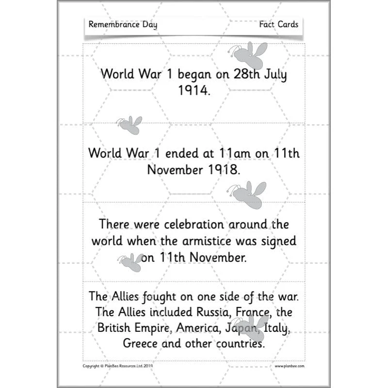 What are we remembering on Remembrance Day? - Image 35