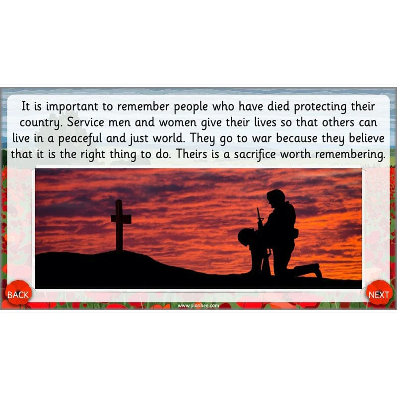 What are we remembering on Remembrance Day? - Image 52