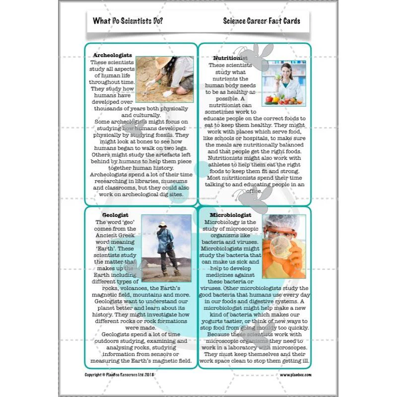 What Do Scientists Do? - Image 15