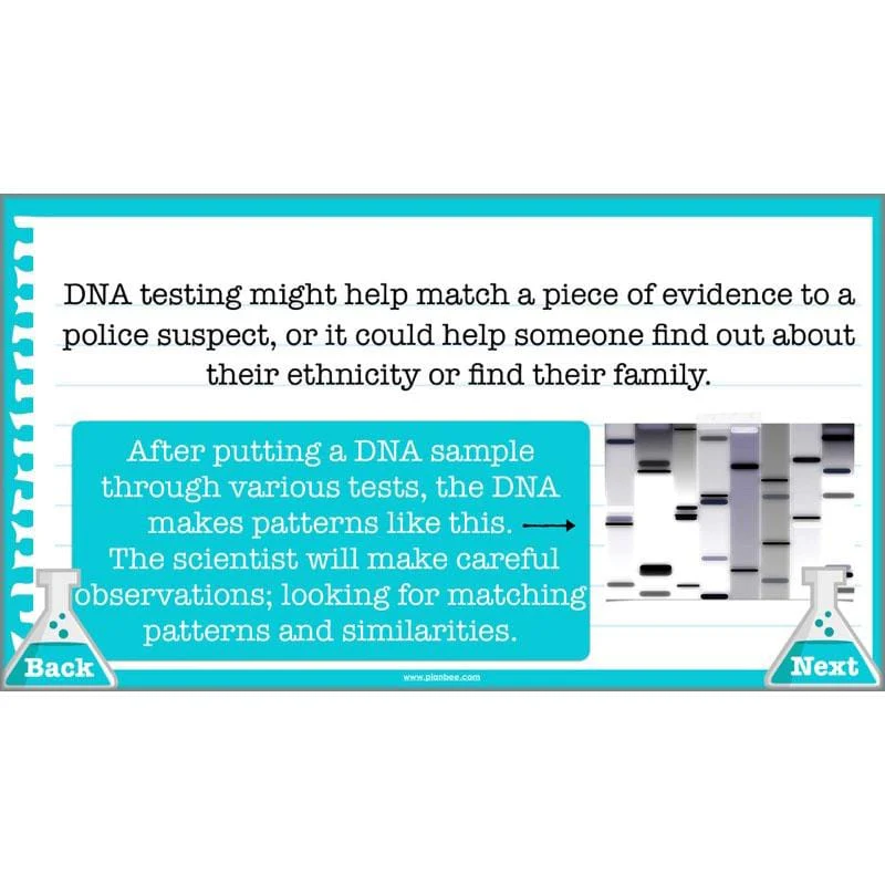 What Do Scientists Do? - Image 7