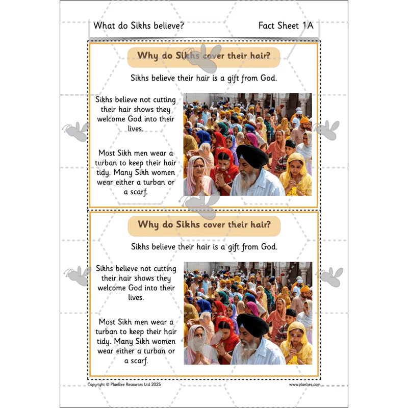What do Sikhs believe? - Image 13