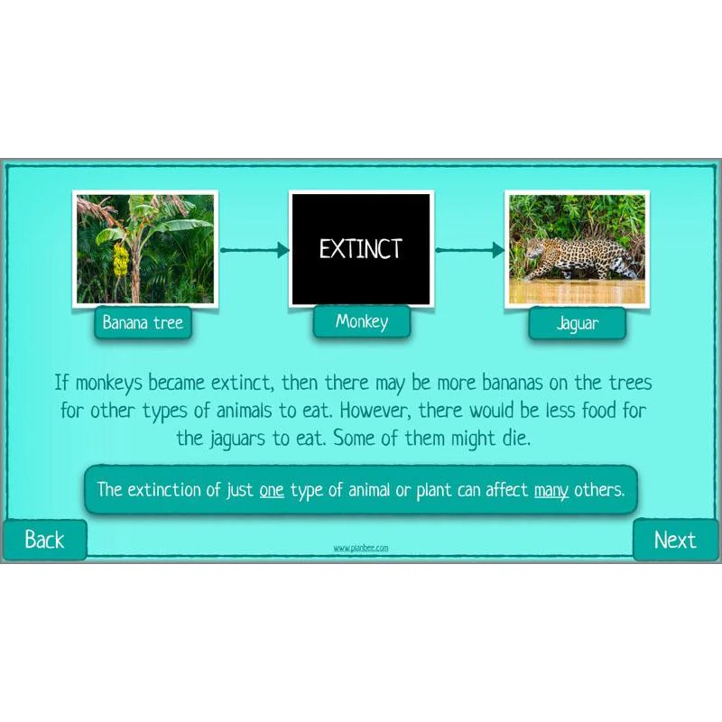 What is Biodiversity? - Image 26