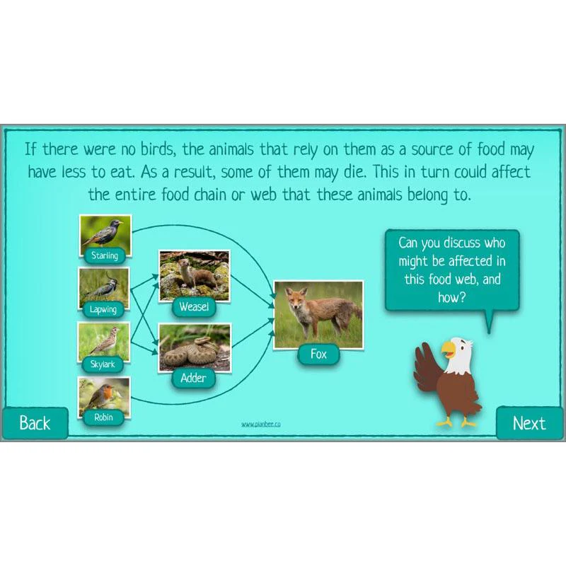 What is Biodiversity? - Image 34