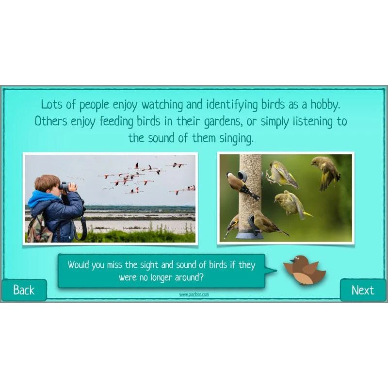 What is Biodiversity? - Image 4