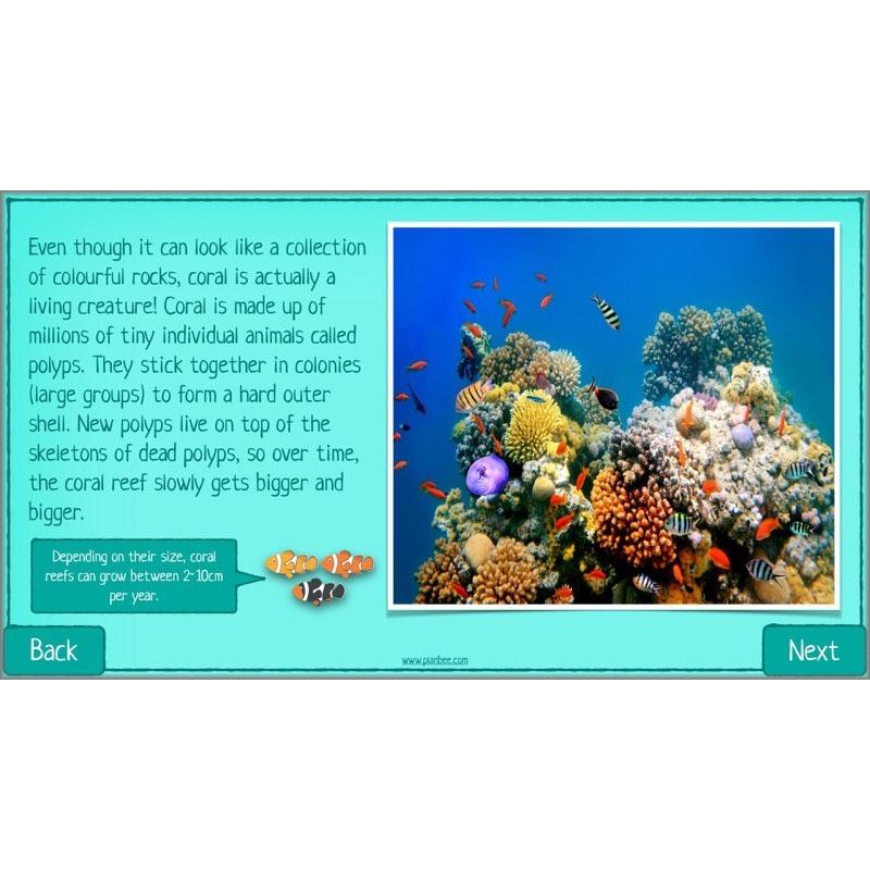 What is Biodiversity? - Image 5