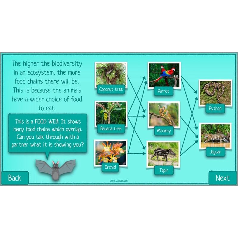 What is Biodiversity? - Image 7