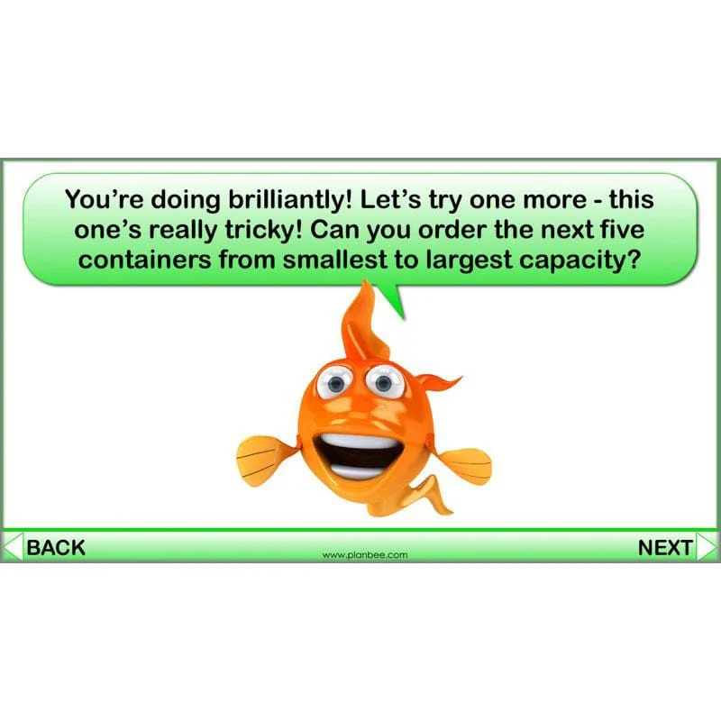 What is Capacity? - Image 13