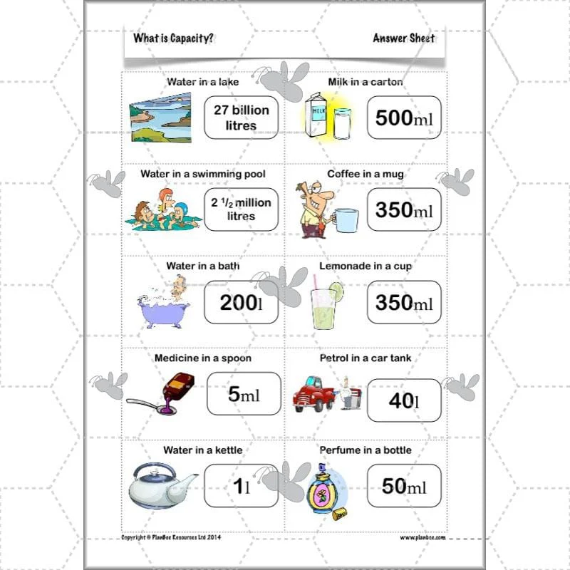 What is Capacity? - Image 15