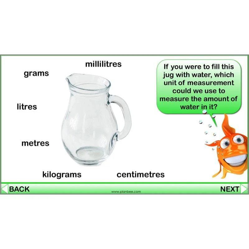 What is Capacity? - Image 3