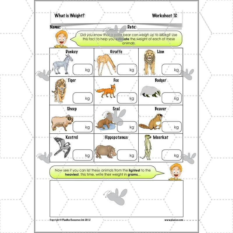 What is Weight? - Image 12