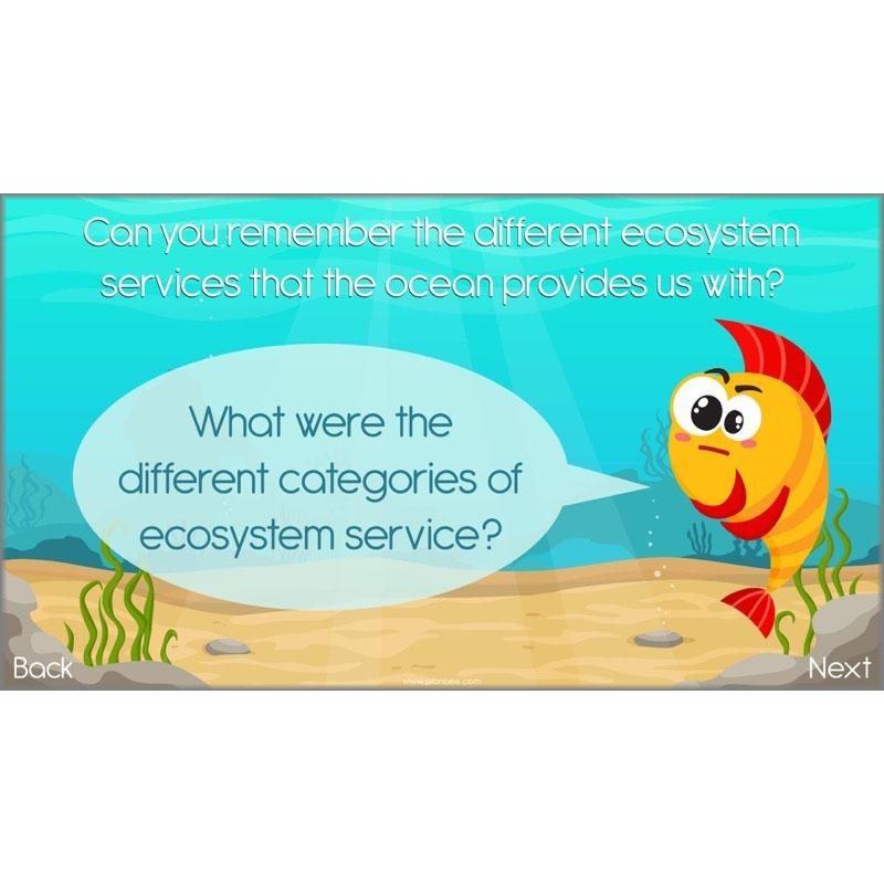 What the Ocean Gives Us - Image 3