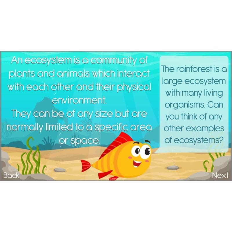 What the Ocean Gives Us - Image 5