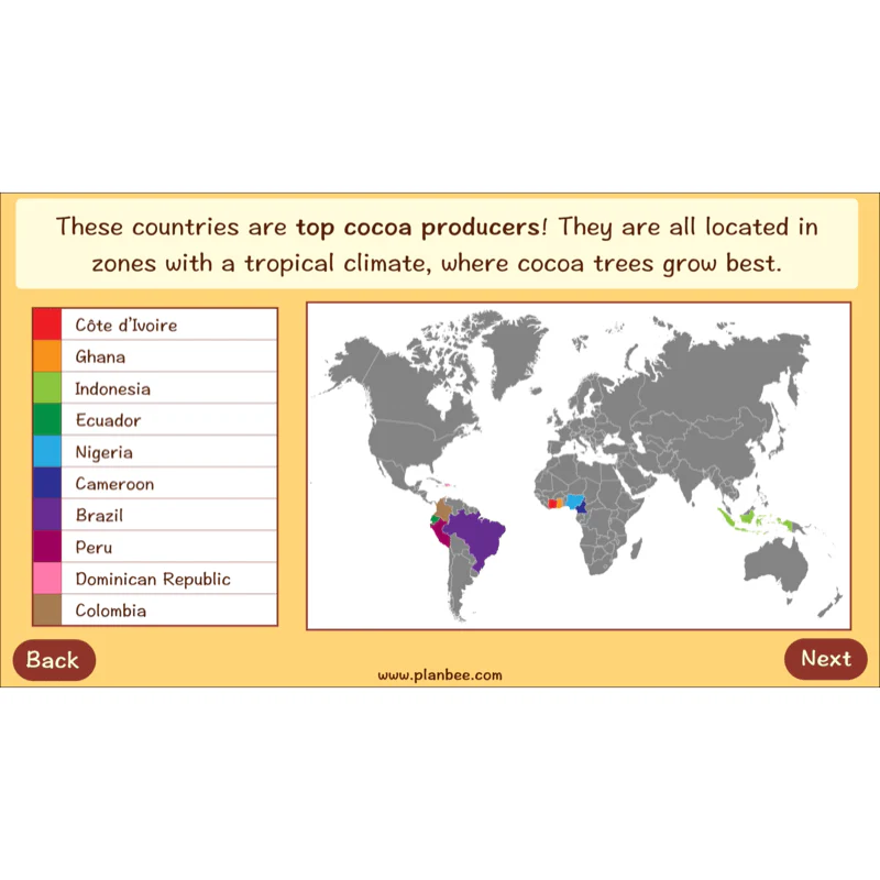 Where does Chocolate come from? - Image 11