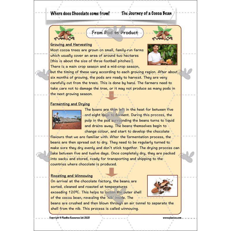 Where does Chocolate come from? - Image 14