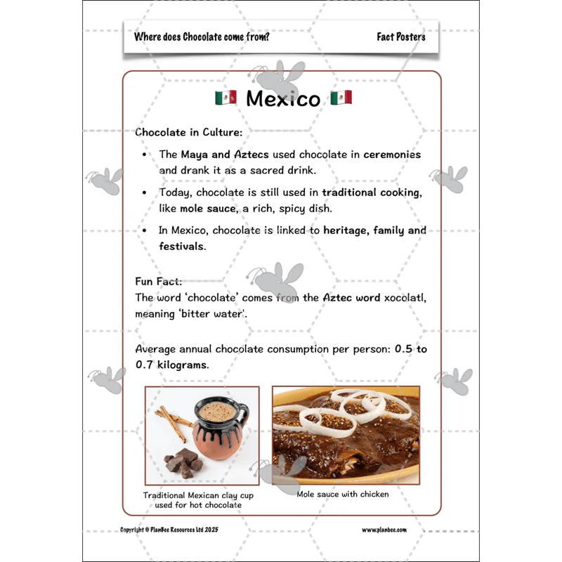 Where does Chocolate come from? - Image 17