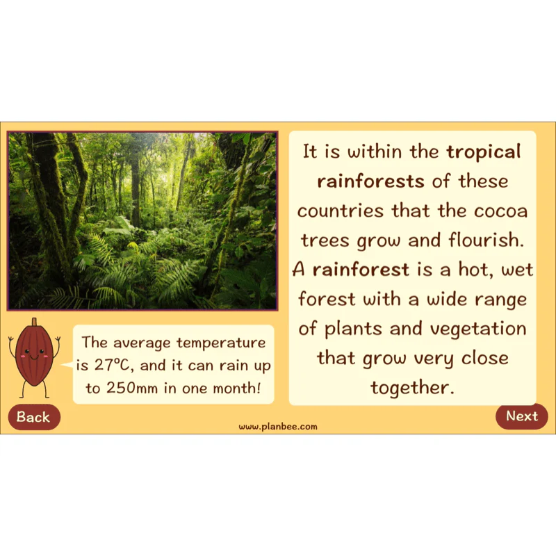Where does Chocolate come from? - Image 22