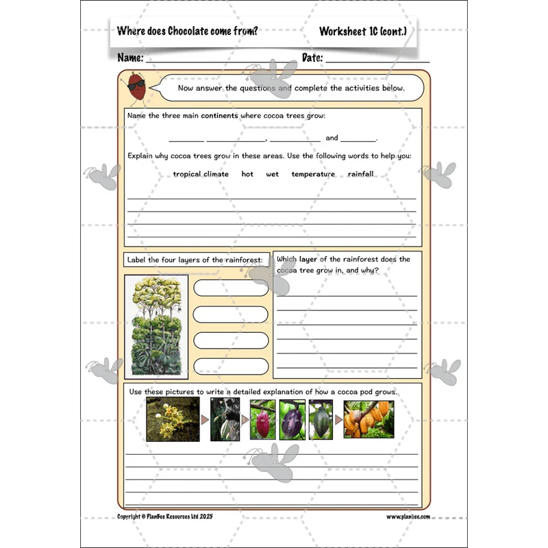 Where does Chocolate come from? - Image 25