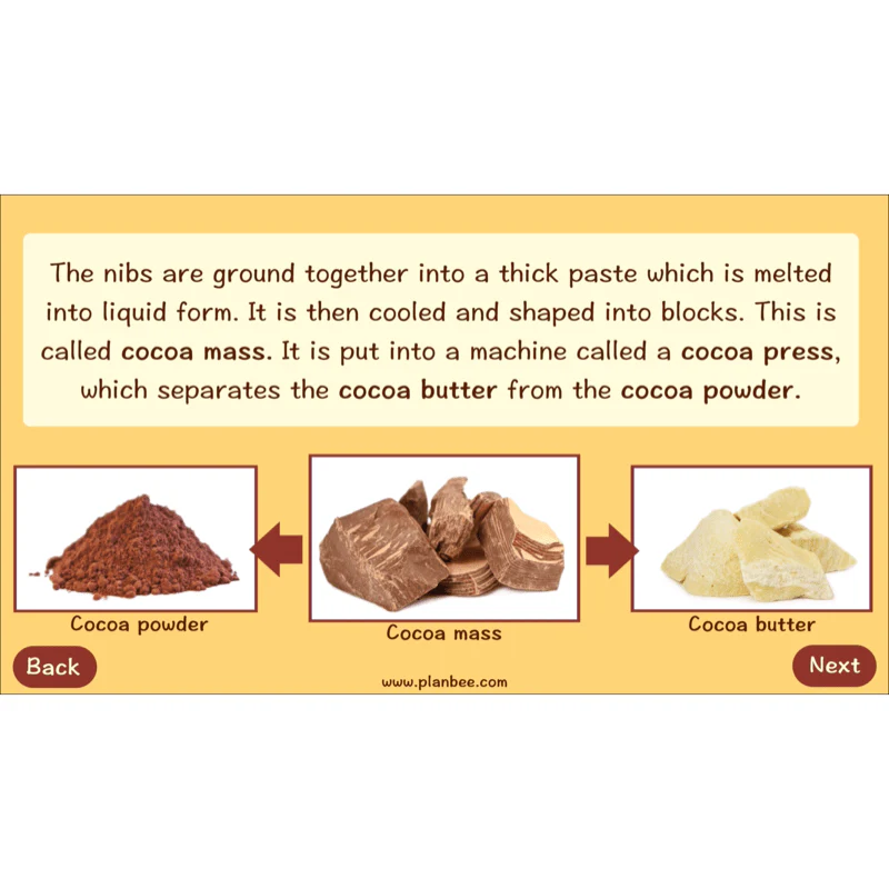 Where does Chocolate come from? - Image 31