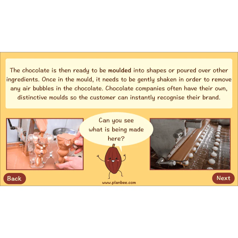 Where does Chocolate come from? - Image 32