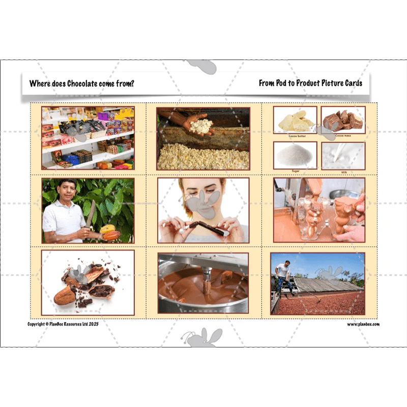 Where does Chocolate come from? - Image 33