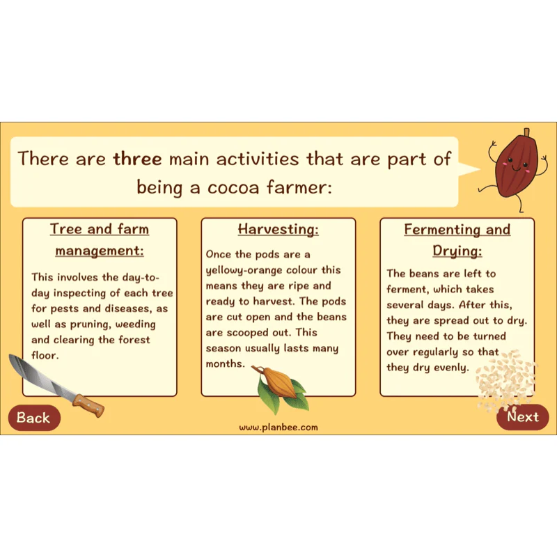 Where does Chocolate come from? - Image 37