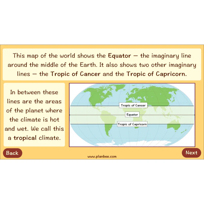 Where does Chocolate come from? - Image 4