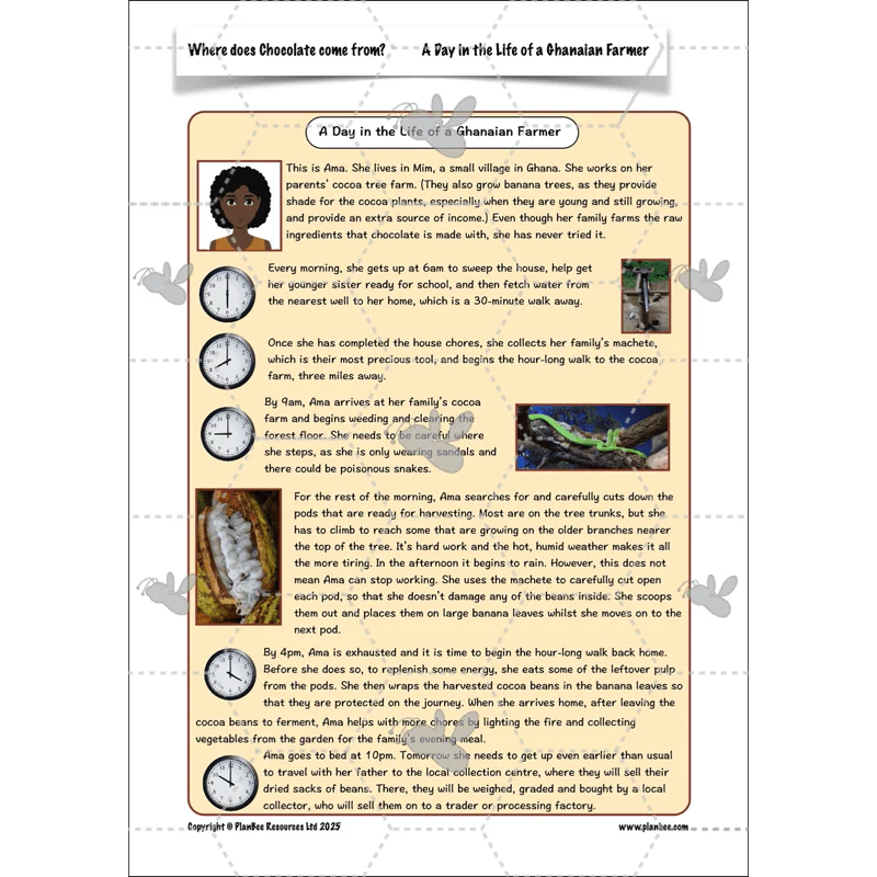 Where does Chocolate come from? - Image 41