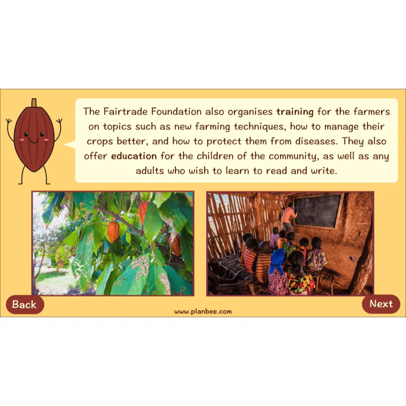 Where does Chocolate come from? - Image 48