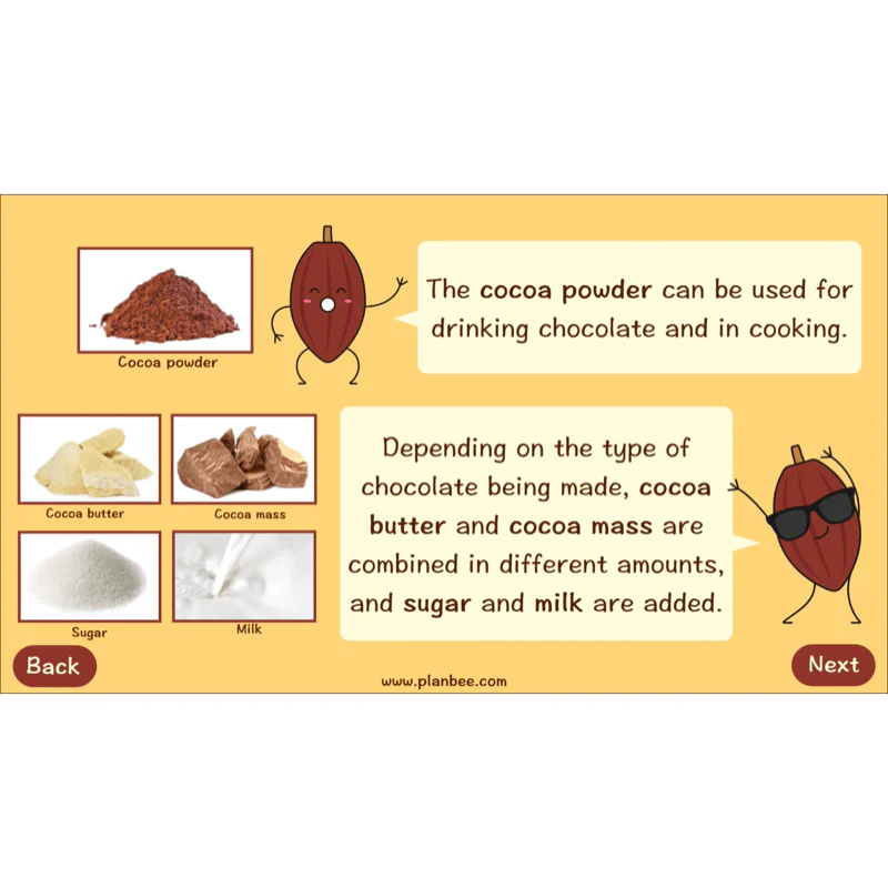 Where does Chocolate come from? - Image 6