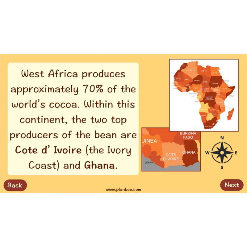 Where does Chocolate come from? - Image 7